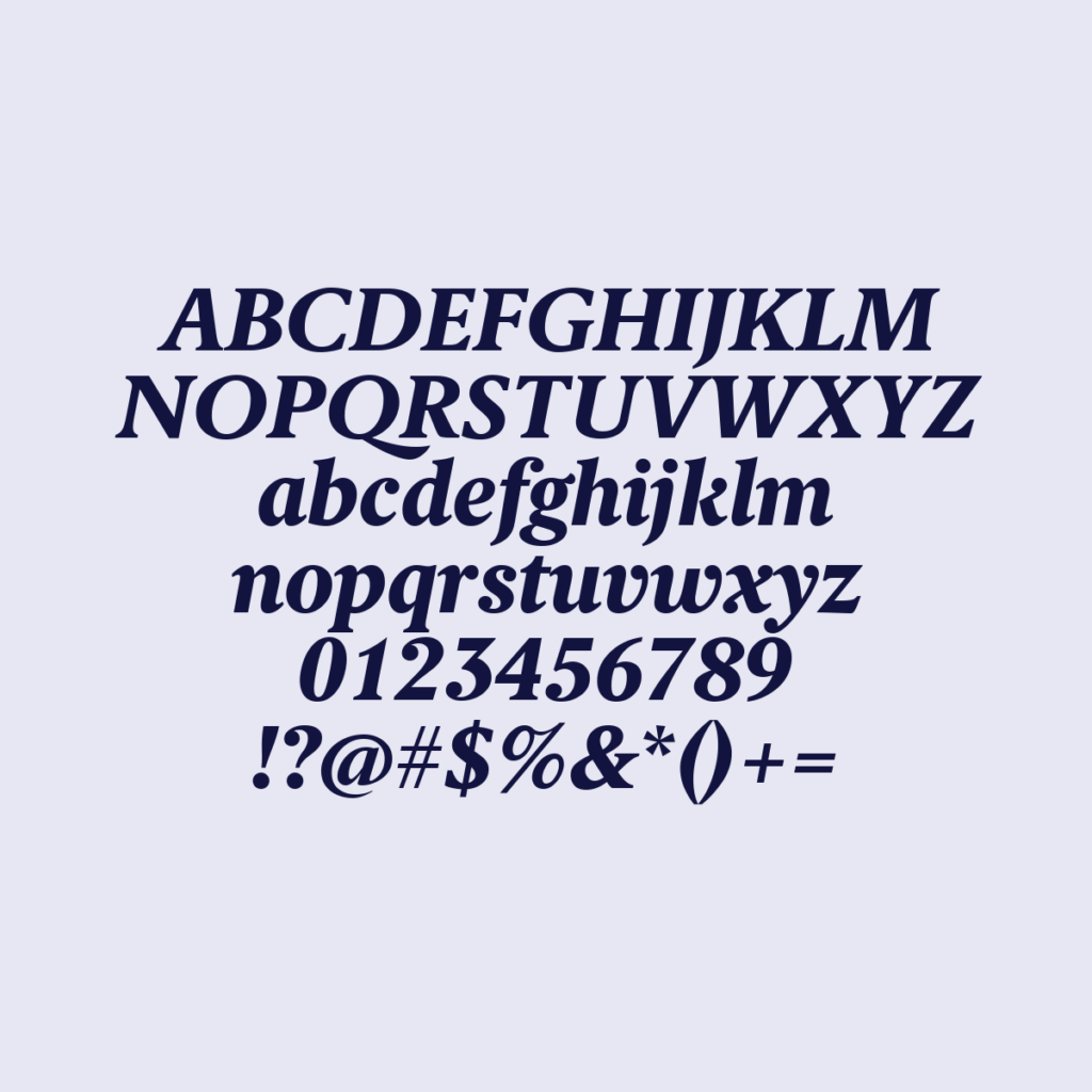 BerlingskeSerifTx XBdItalic