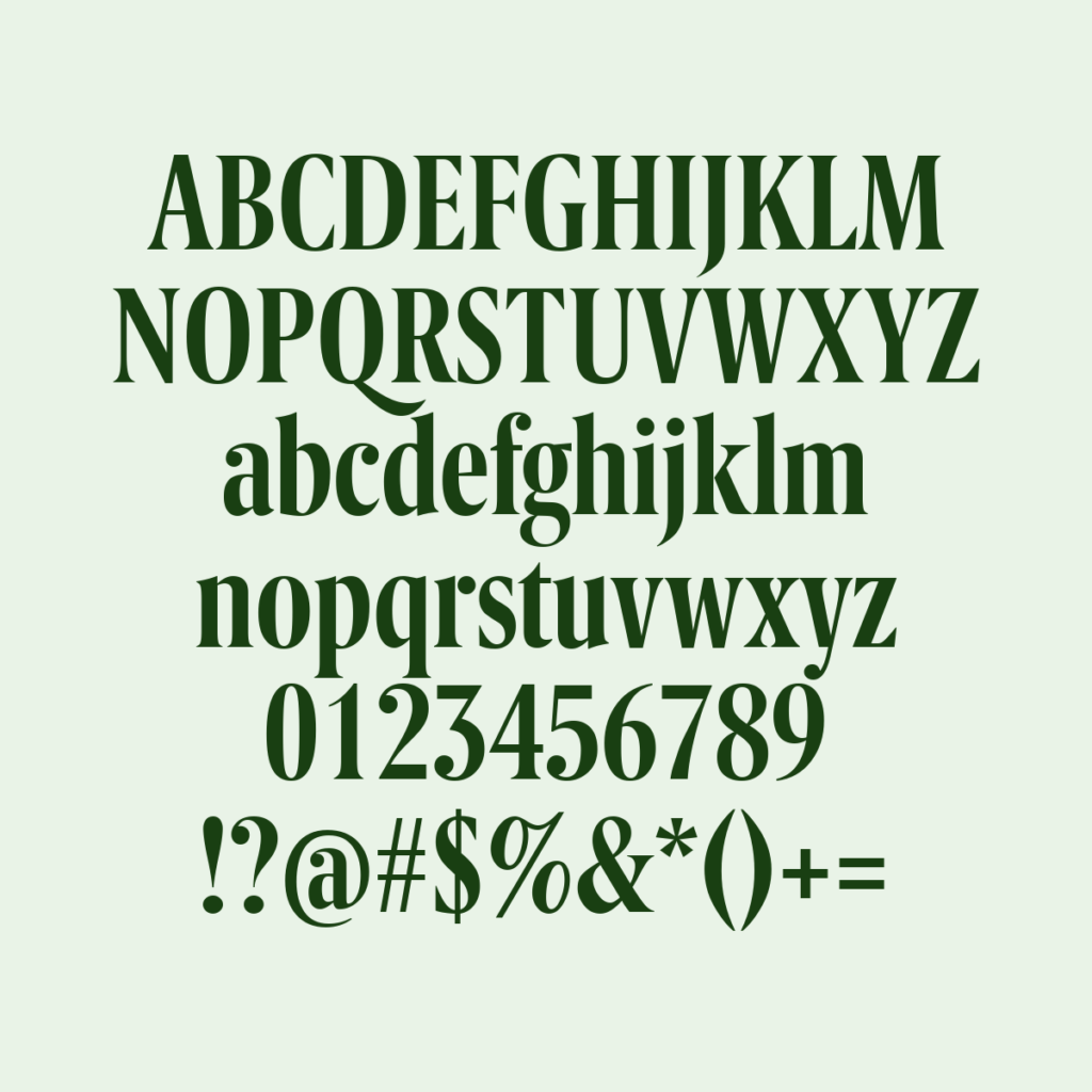 BerlingskeSerifXCn DBd