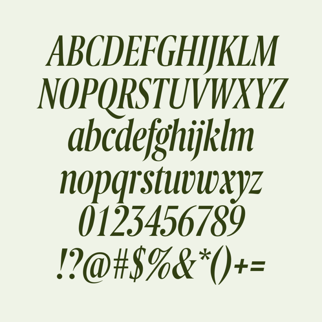 BerlingskeSerifXCn Italic