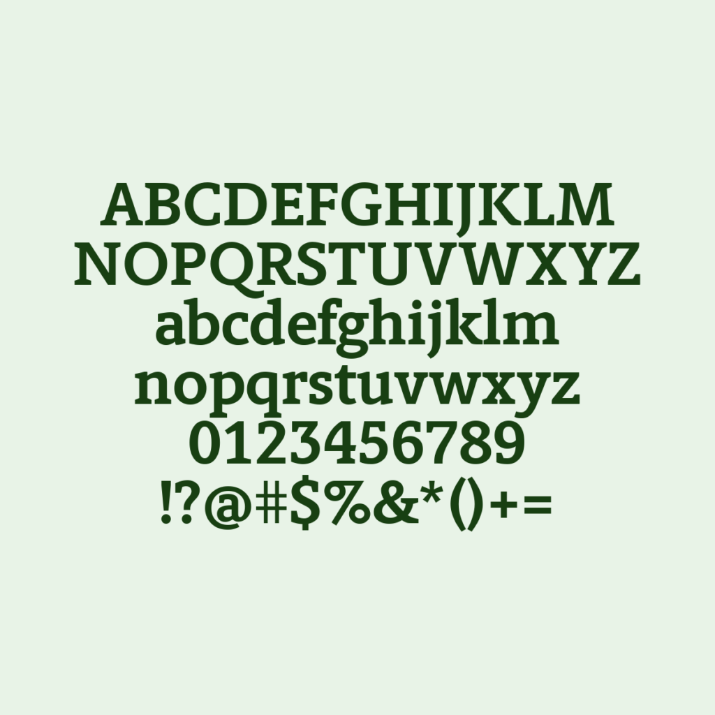BerlingskeSlab Bold