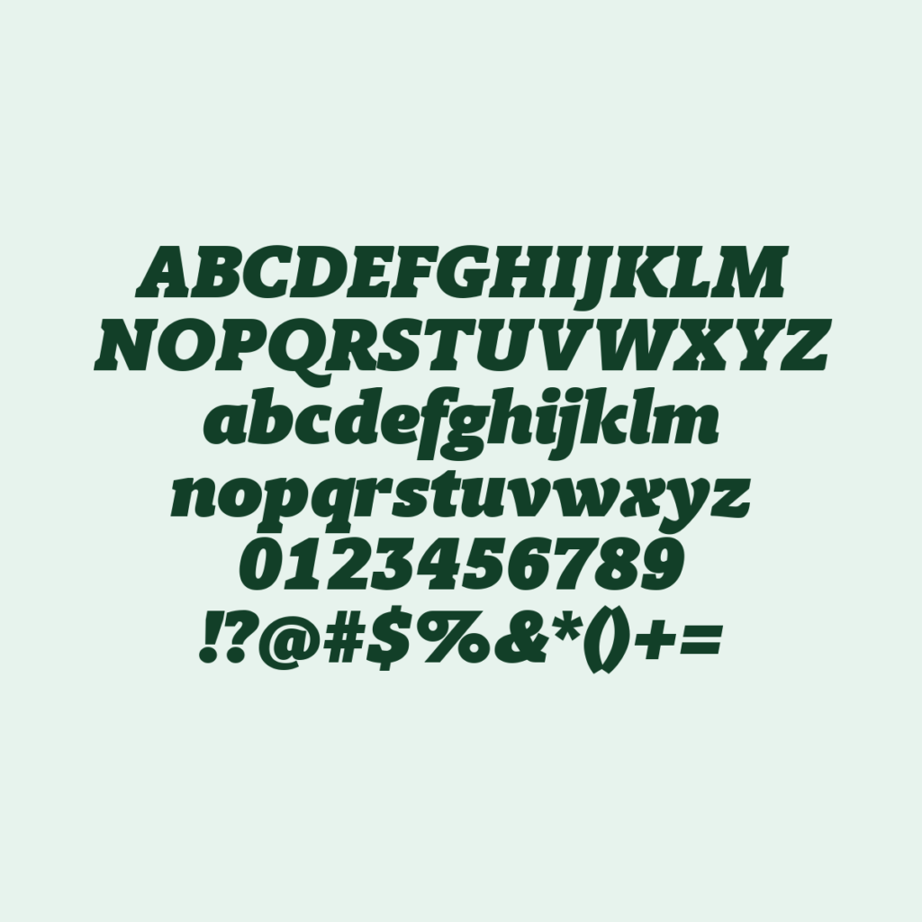 BerlingskeSlab PstItalic