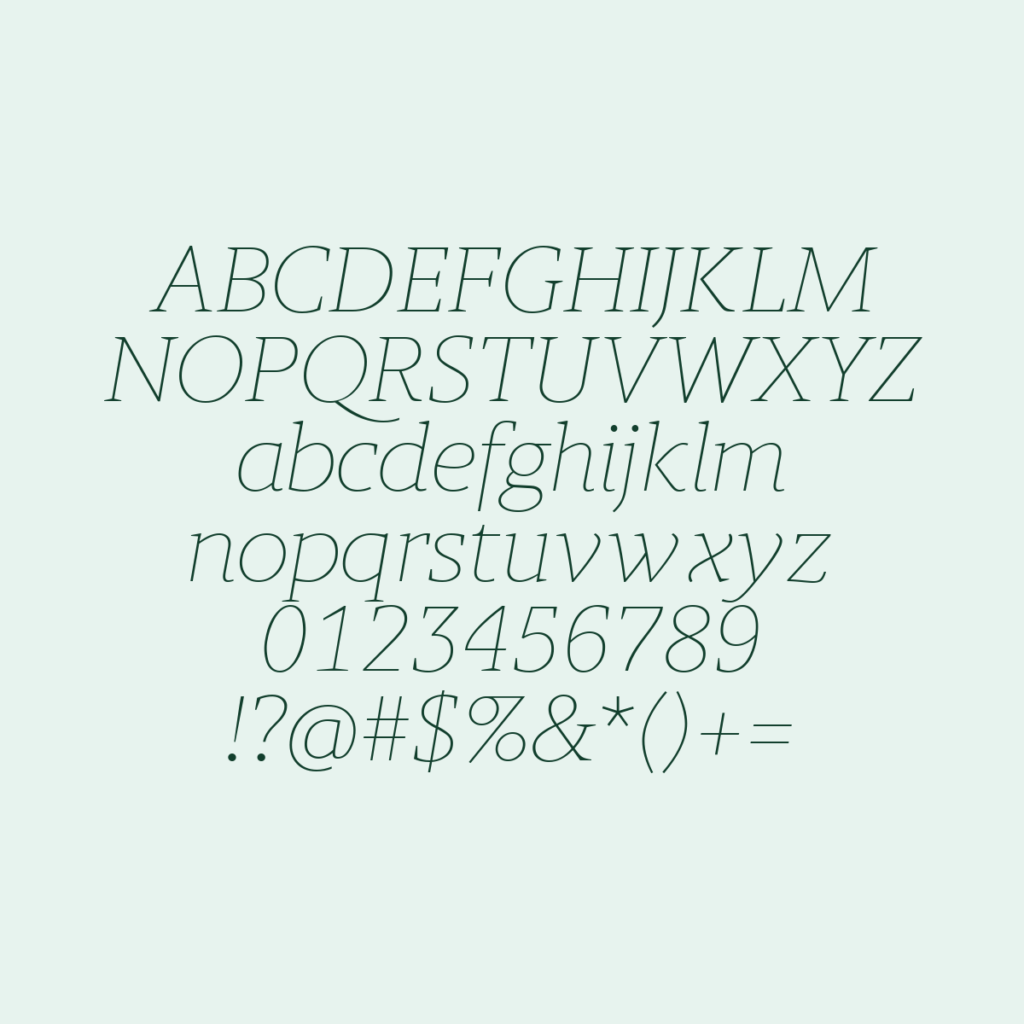 BerlingskeSlab TnItalic