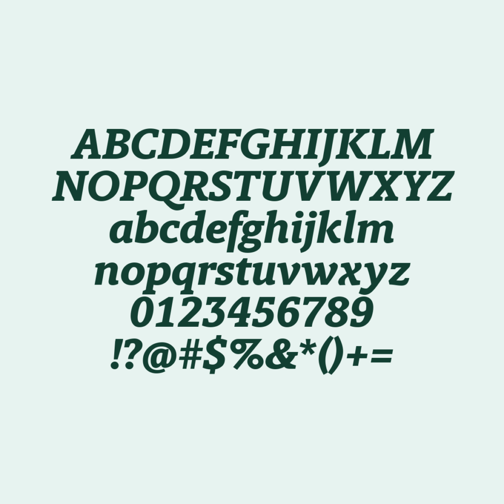 BerlingskeSlab XBdItalic