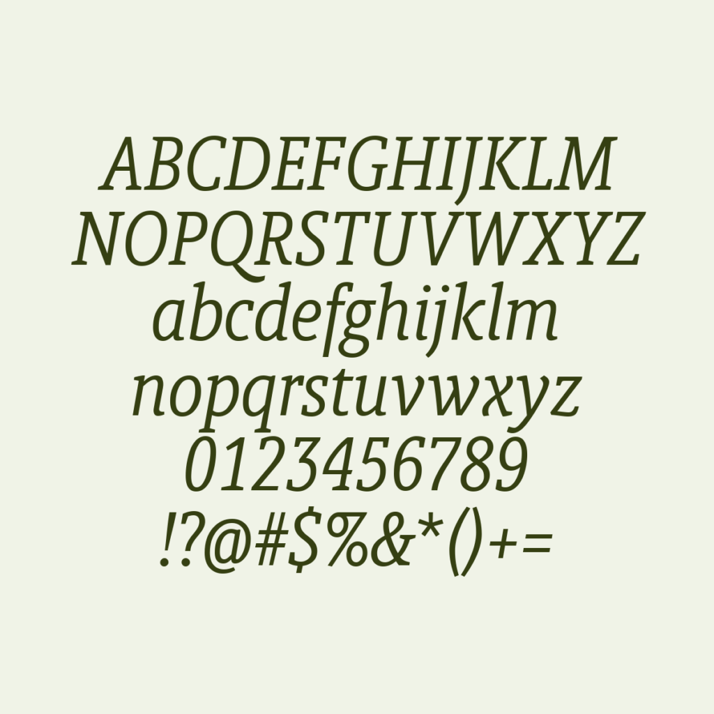 BerlingskeSlabCn Italic