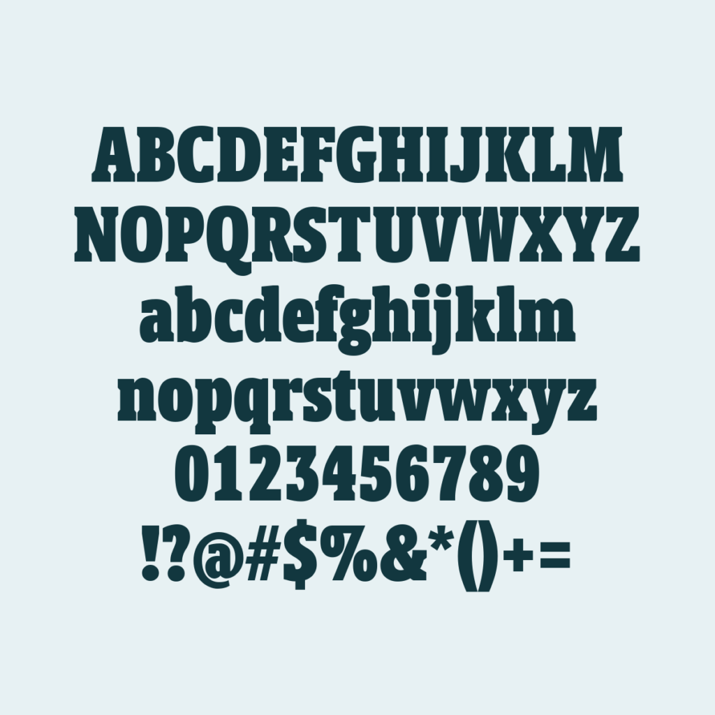 BerlingskeSlabDisplay Blk