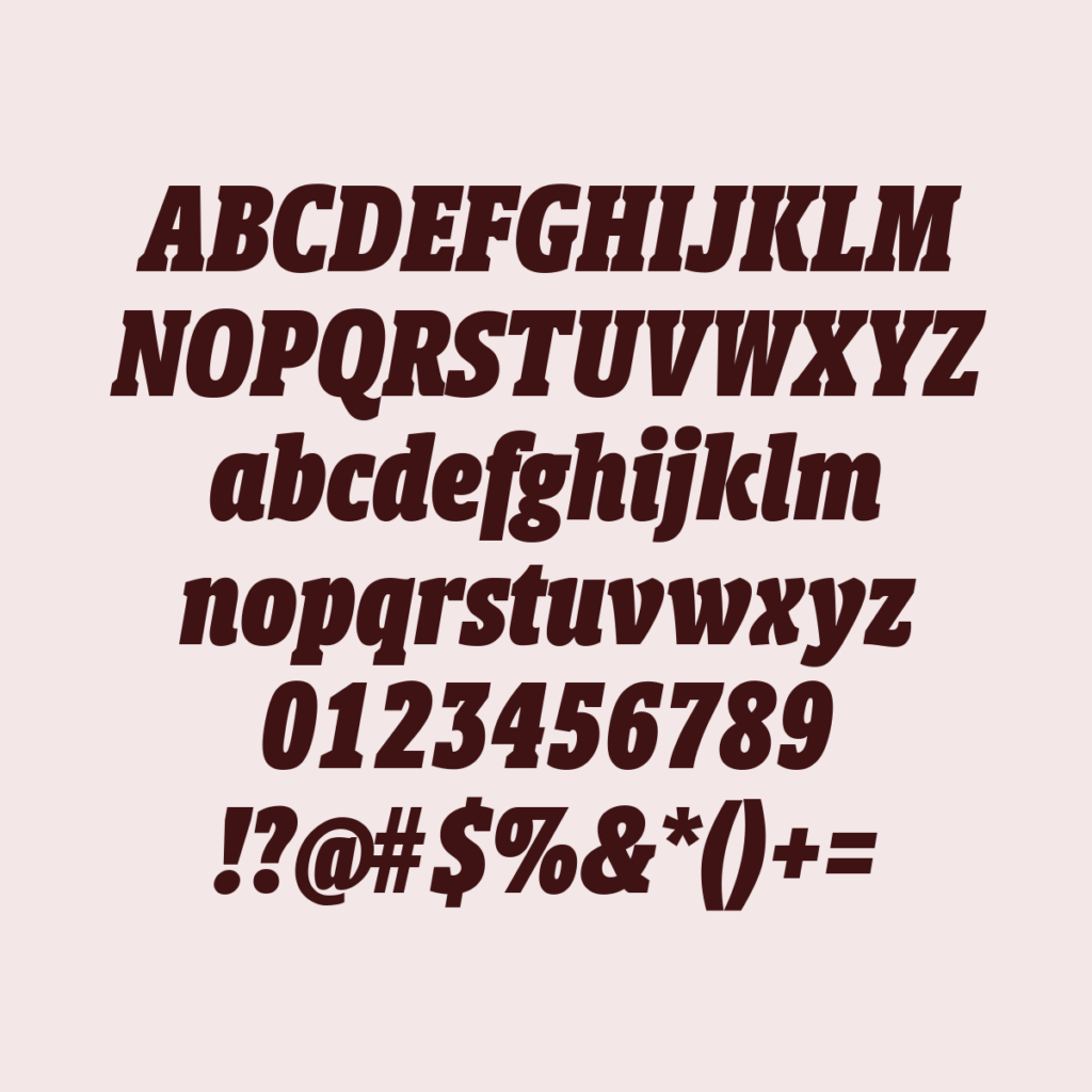 BerlingskeSlabDisplay BlkItalic