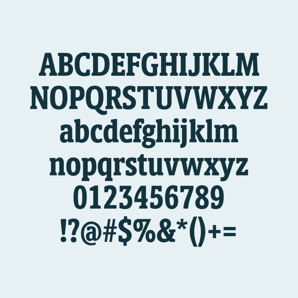 BerlingskeSlabDisplay Bold