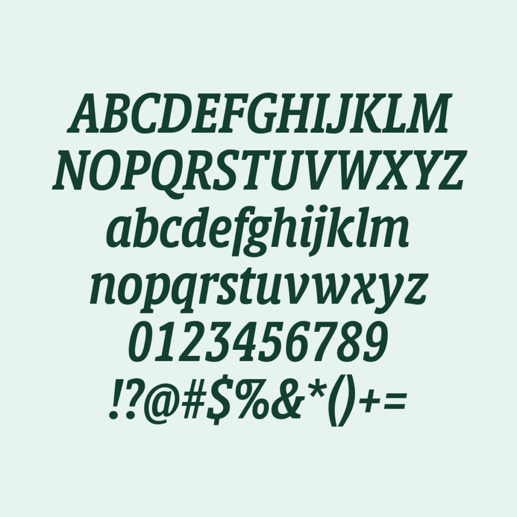 BerlingskeSlabDisplay DBdItalic