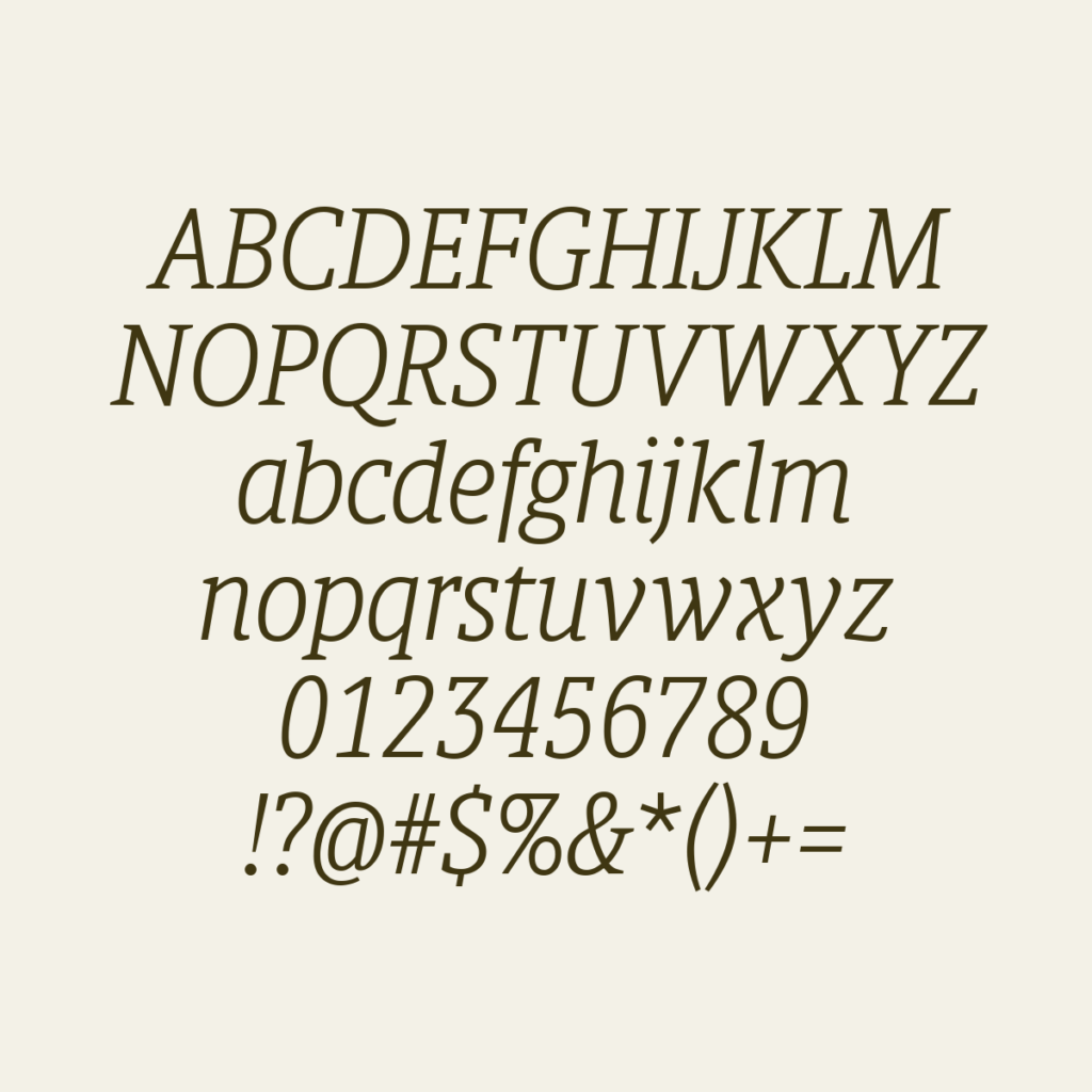 BerlingskeSlabDisplay LtItalic