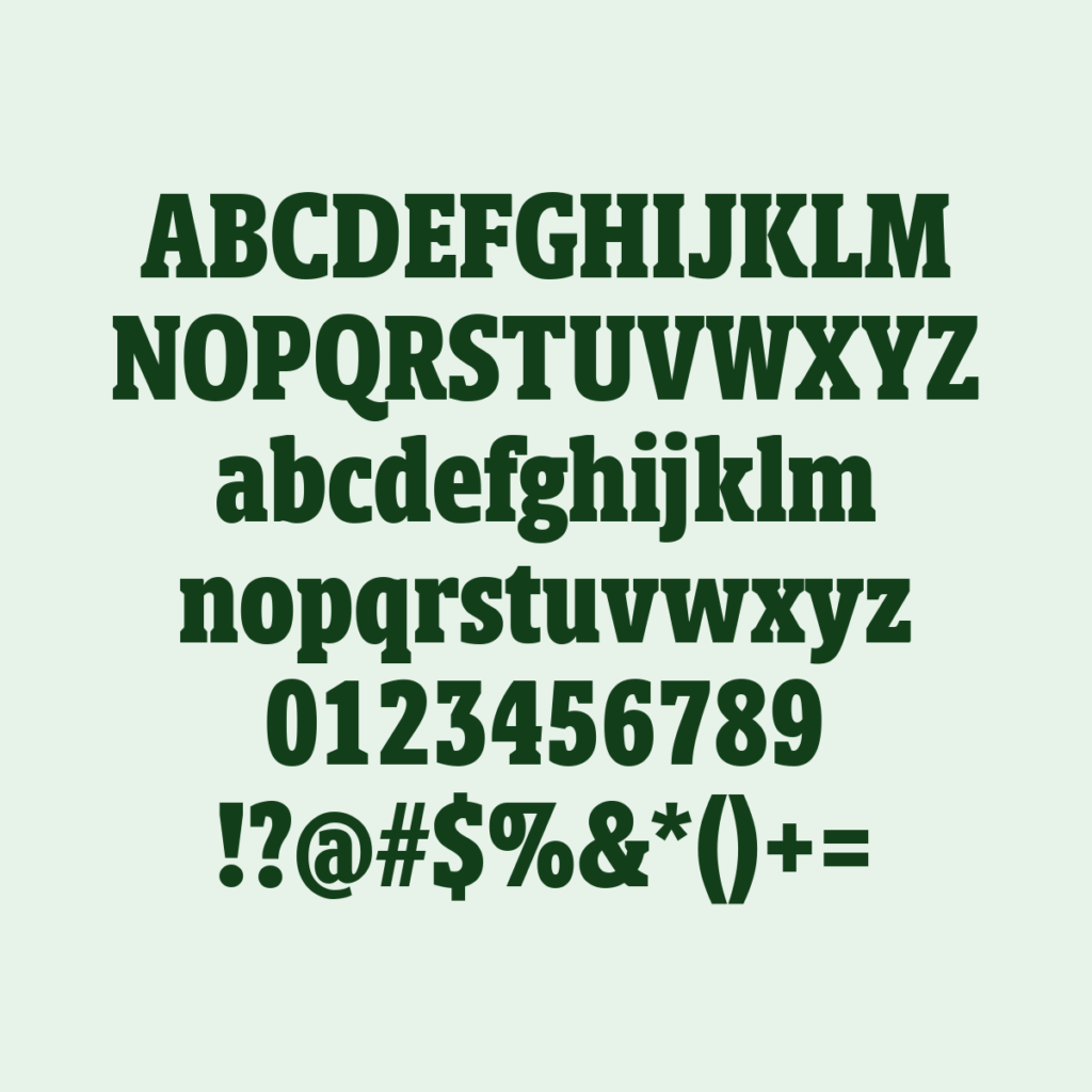 BerlingskeSlabDisplay XBd