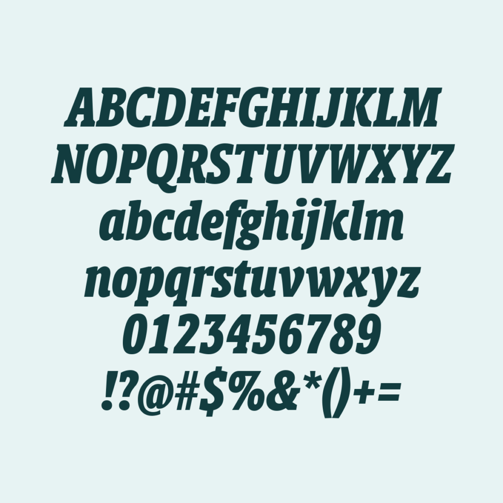 BerlingskeSlabDisplay XBdItalic