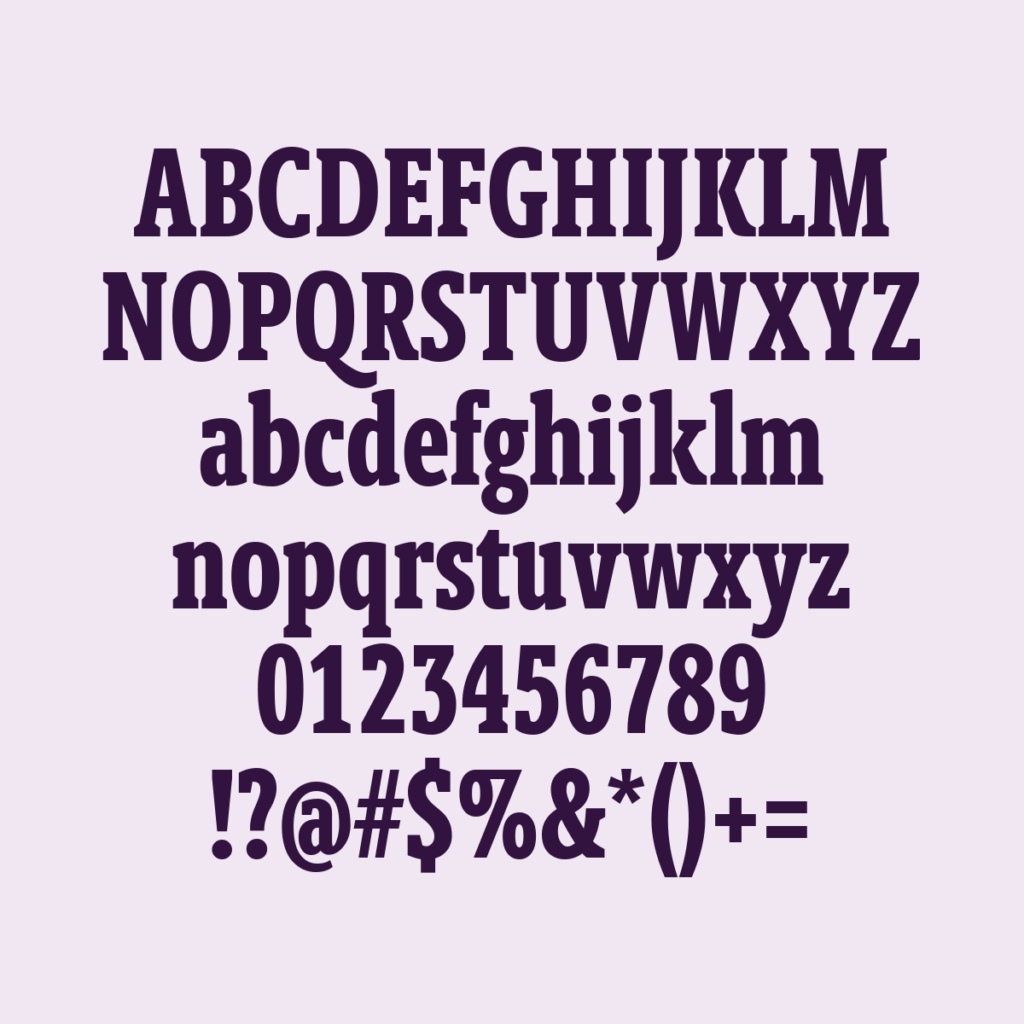 BerlingskeSlabXCn Bold