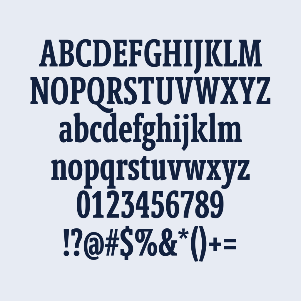 BerlingskeSlabXCn DBd