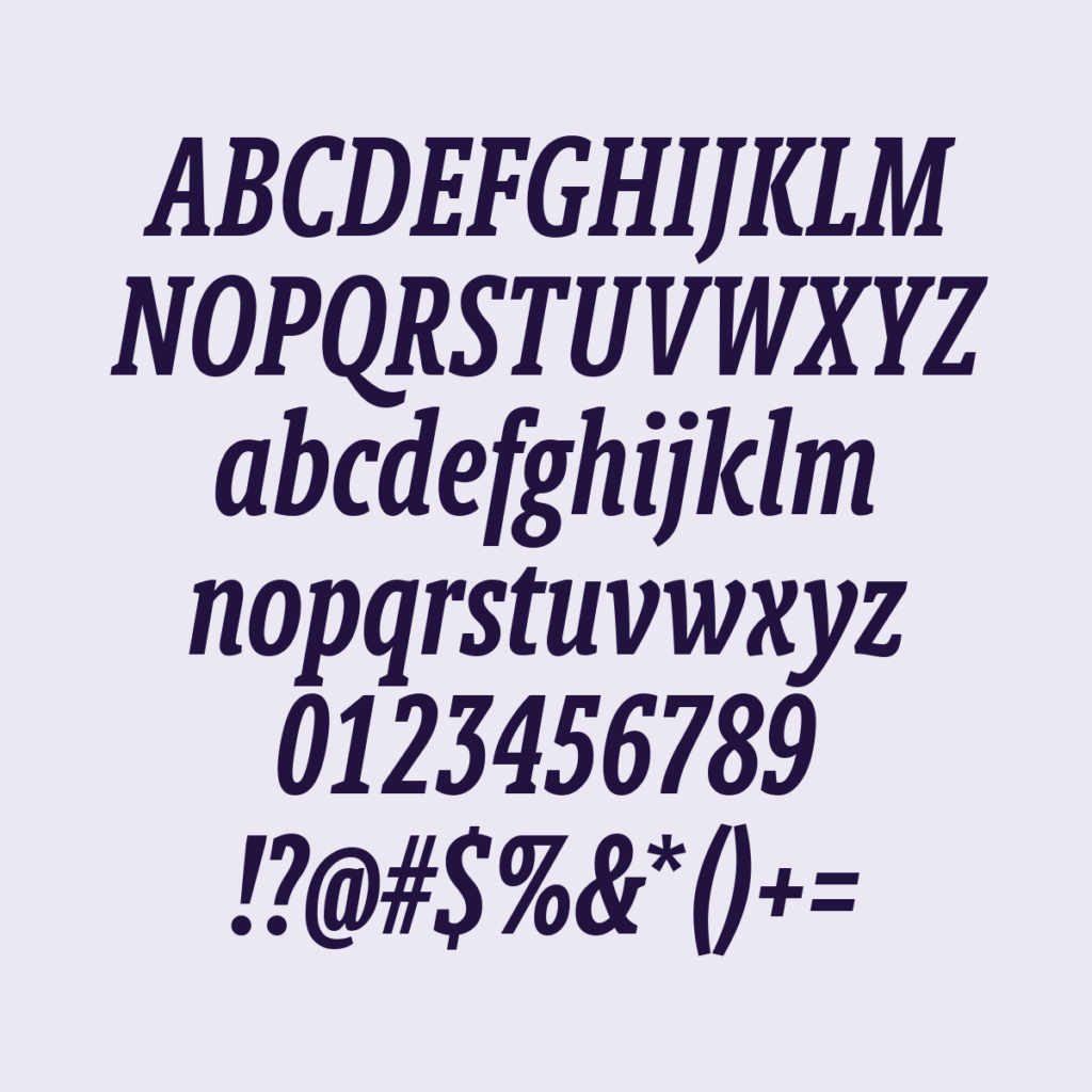 BerlingskeSlabXCn DBdItalic