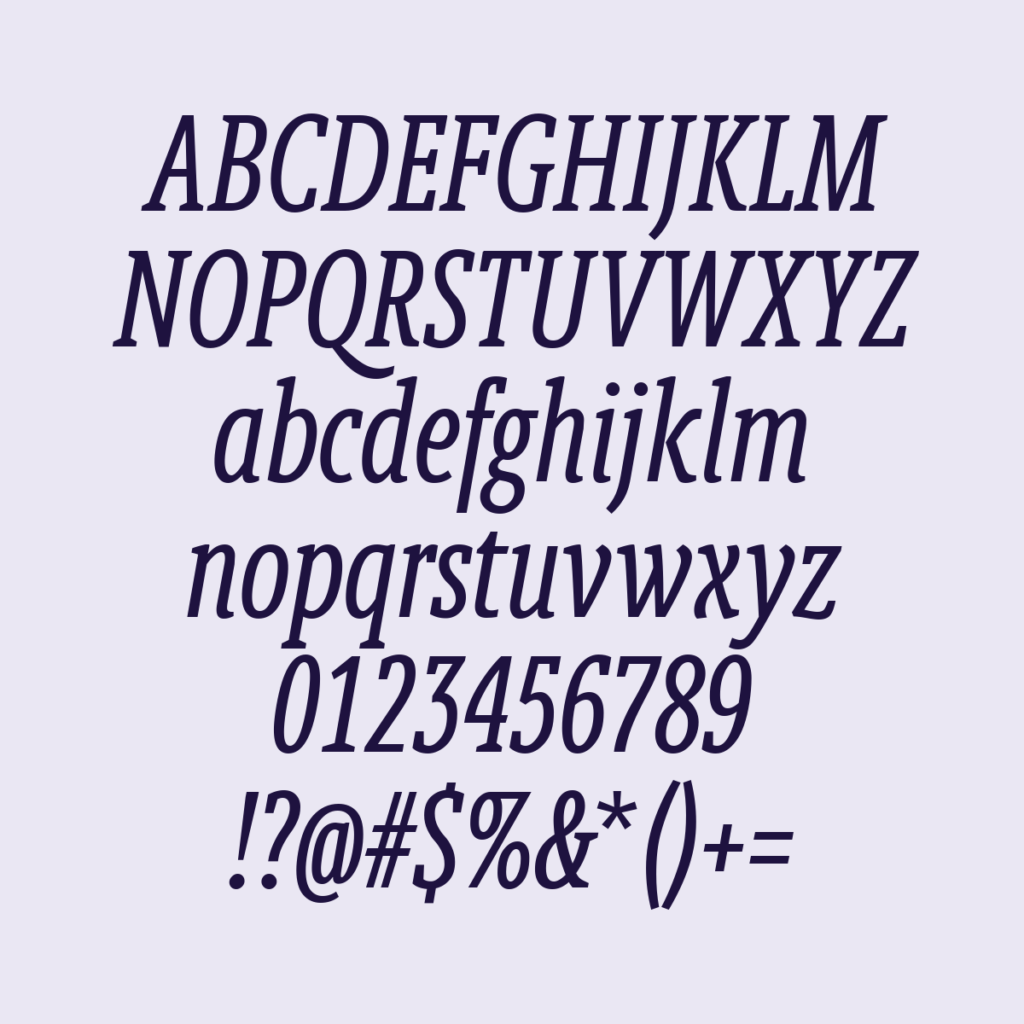 BerlingskeSlabXCn Italic