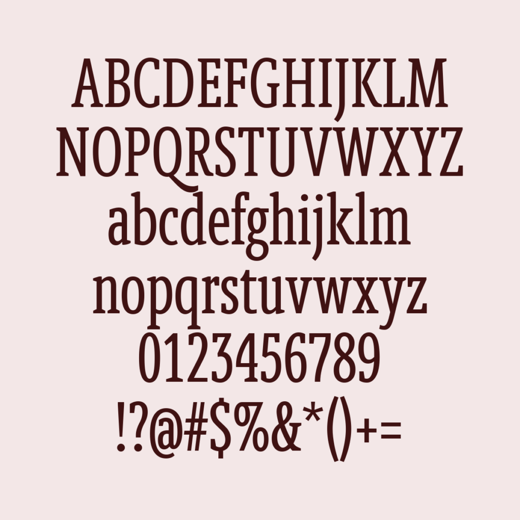 BerlingskeSlabXCn Regular