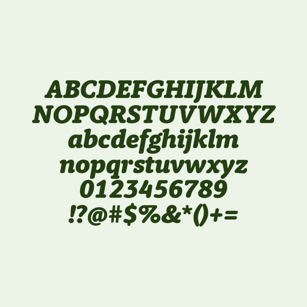BerlingskeTypewriter BlkItalic