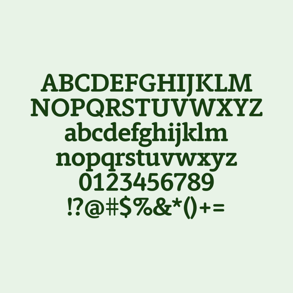 BerlingskeTypewriter Bold