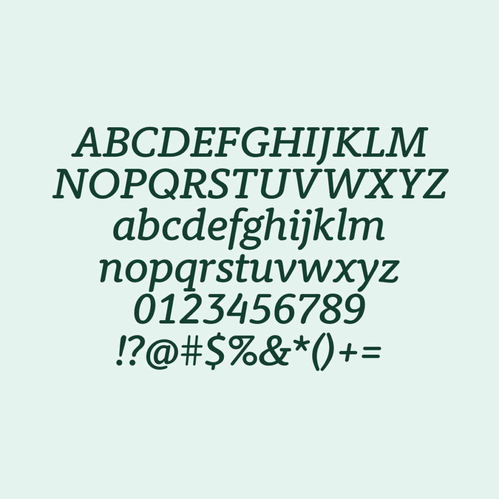 BerlingskeTypewriter DBdItalic