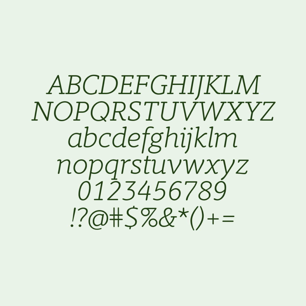 BerlingskeTypewriter LtItalic