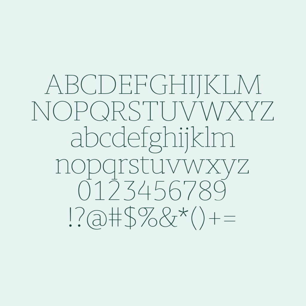 BerlingskeTypewriter Tn