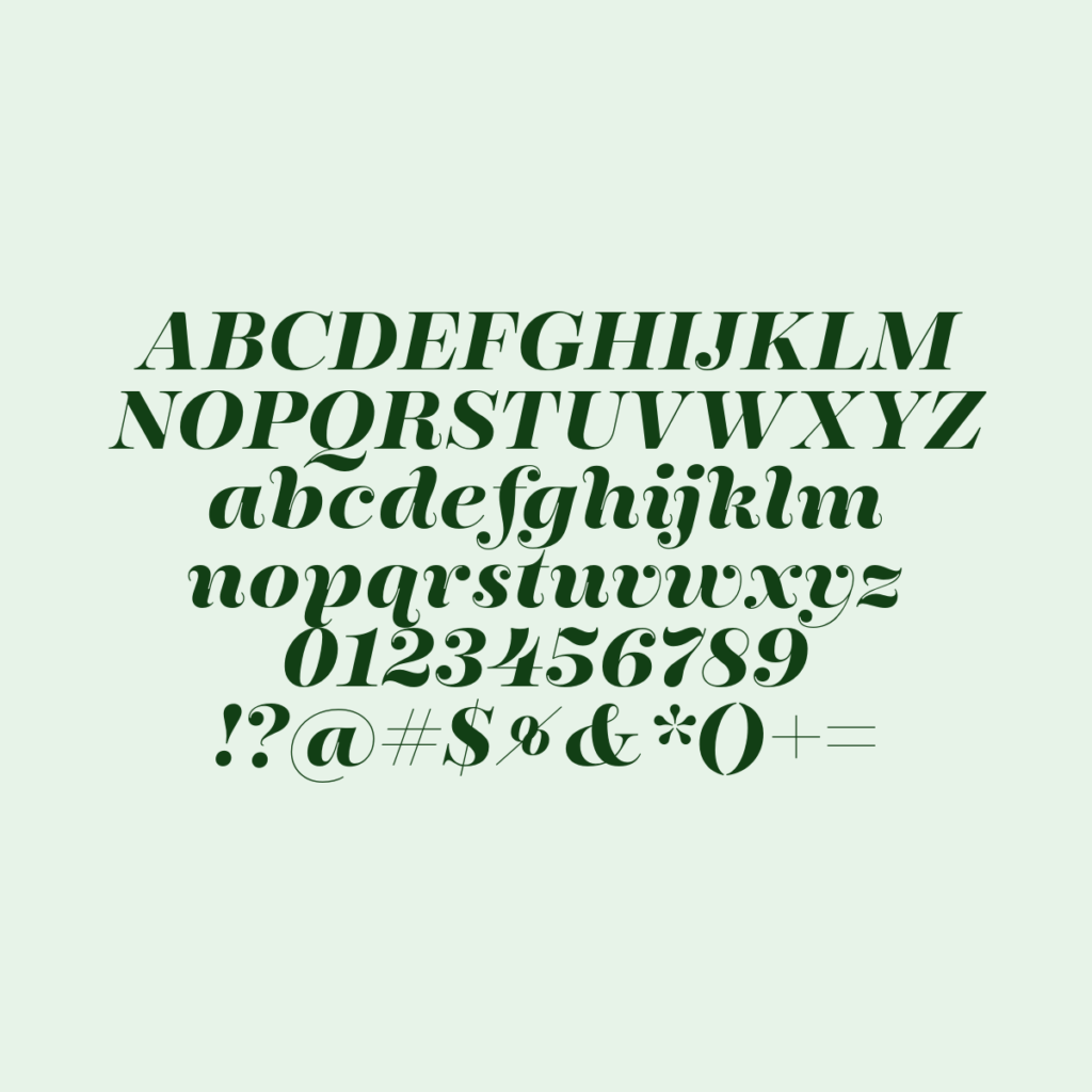 Encorpada Essential Bold Italic