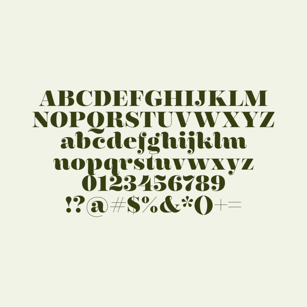 Encorpada Essential ExtraBold