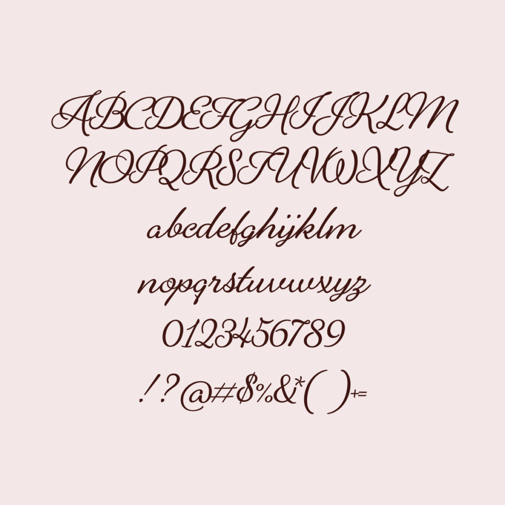 Fenotype Alfons Brush Regular