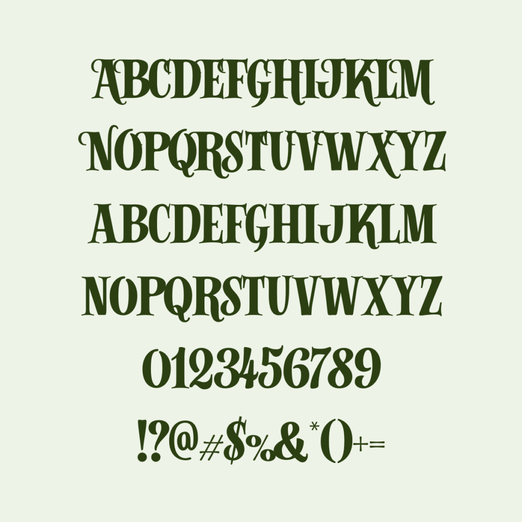 Fenotype Alfons Serif Bold
