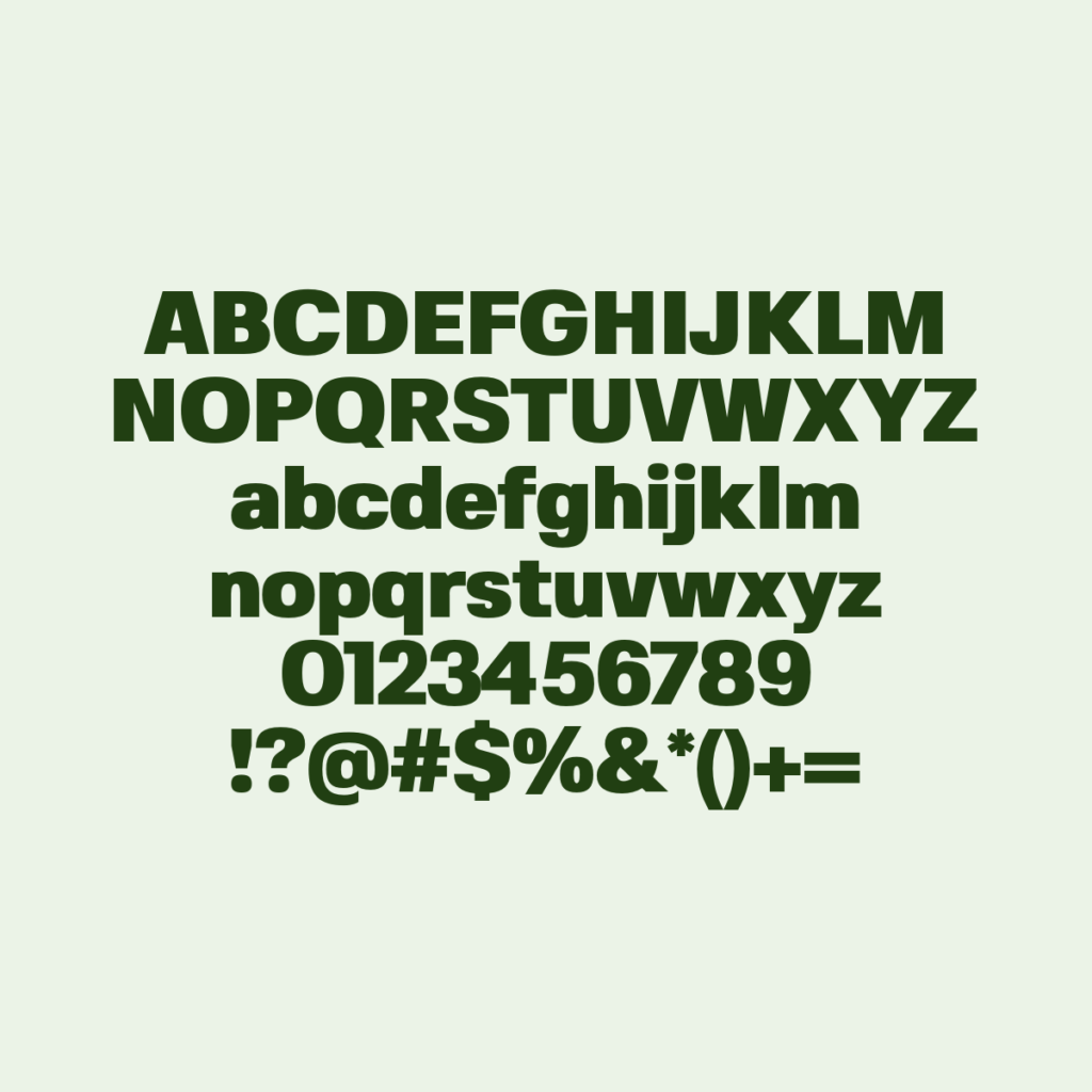 FivoSans Black