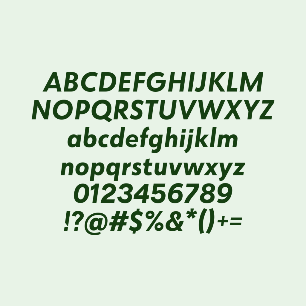 Globe Grotesk Display Bold Italic