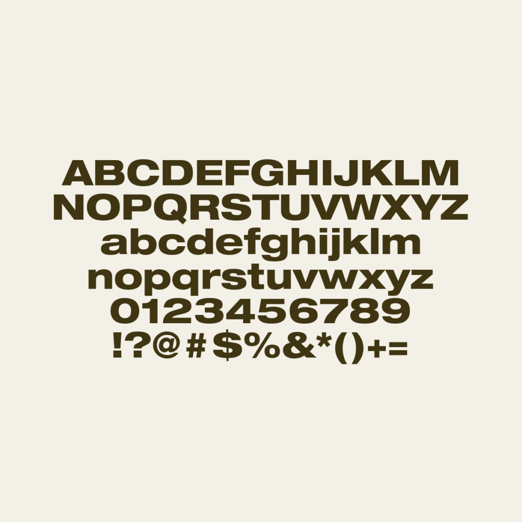 HelveticaNeueLTPro HvEx