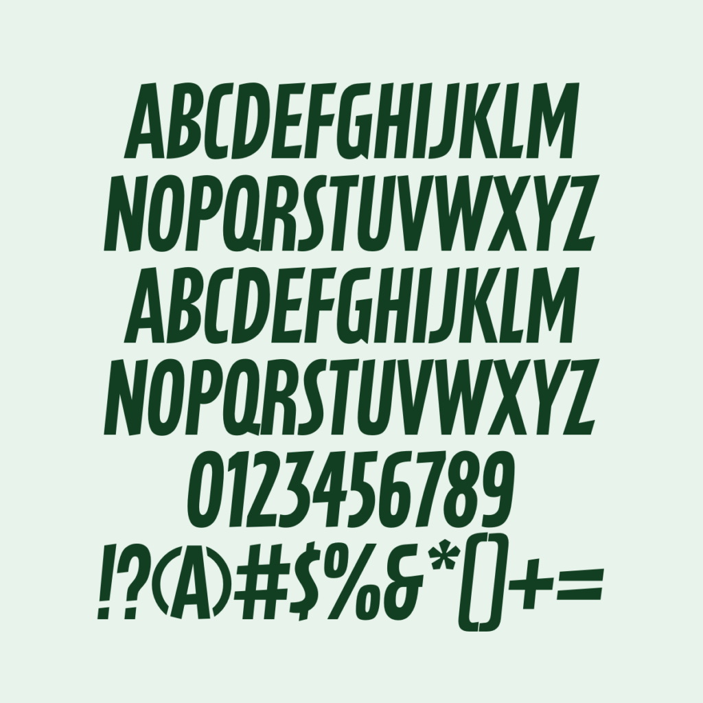 Latex Regular