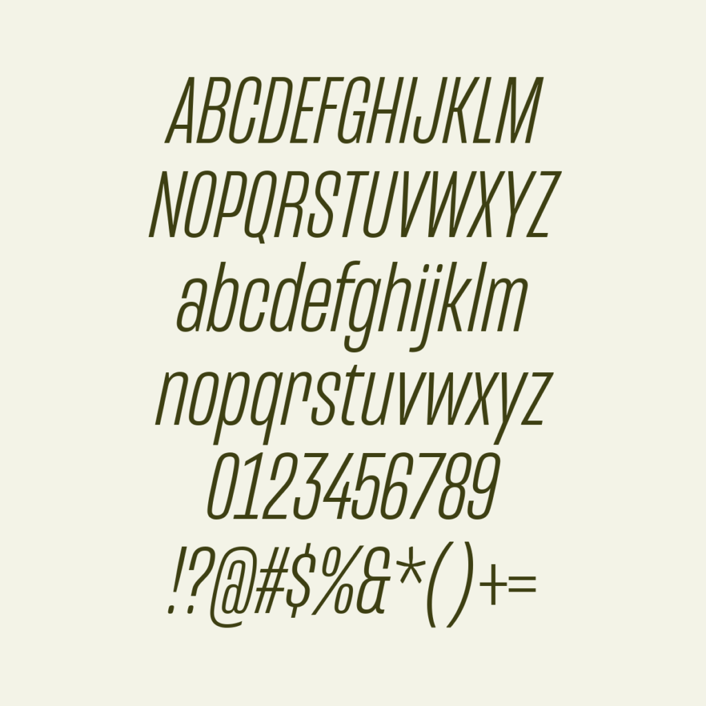 Mongoose LightItalic