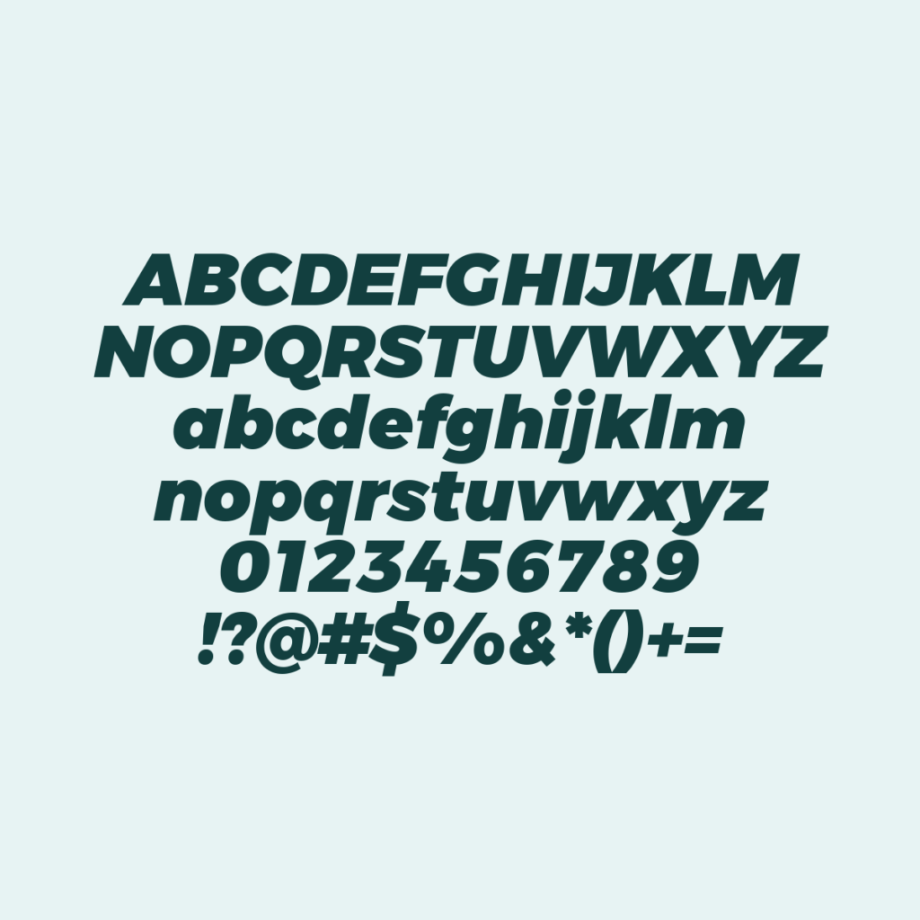 Montserrat BlackItalic