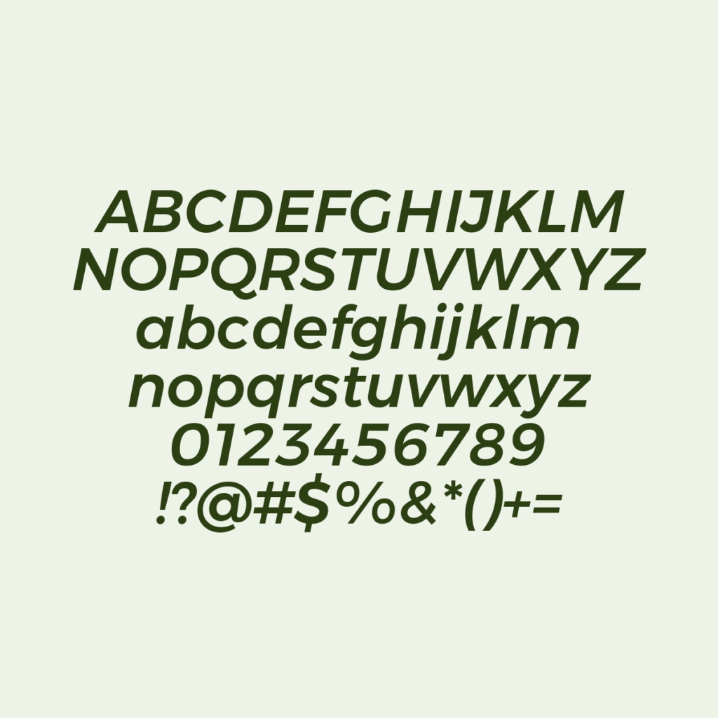 Montserrat MediumItalic