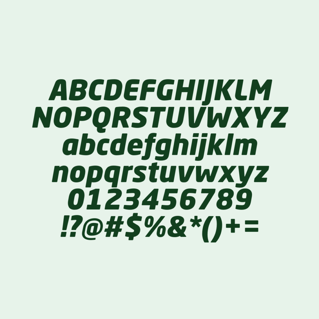 NeoSansStd BlackItalic