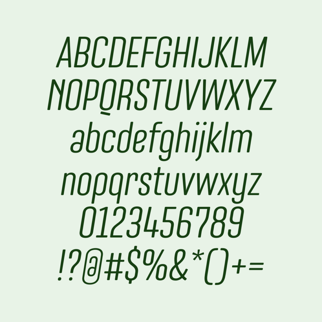 Nephrite BookItalic