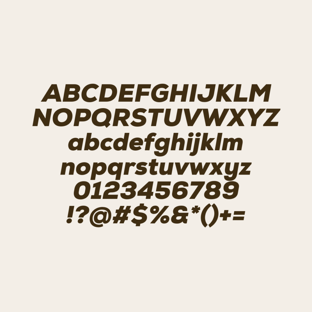 Nexa Black Italic