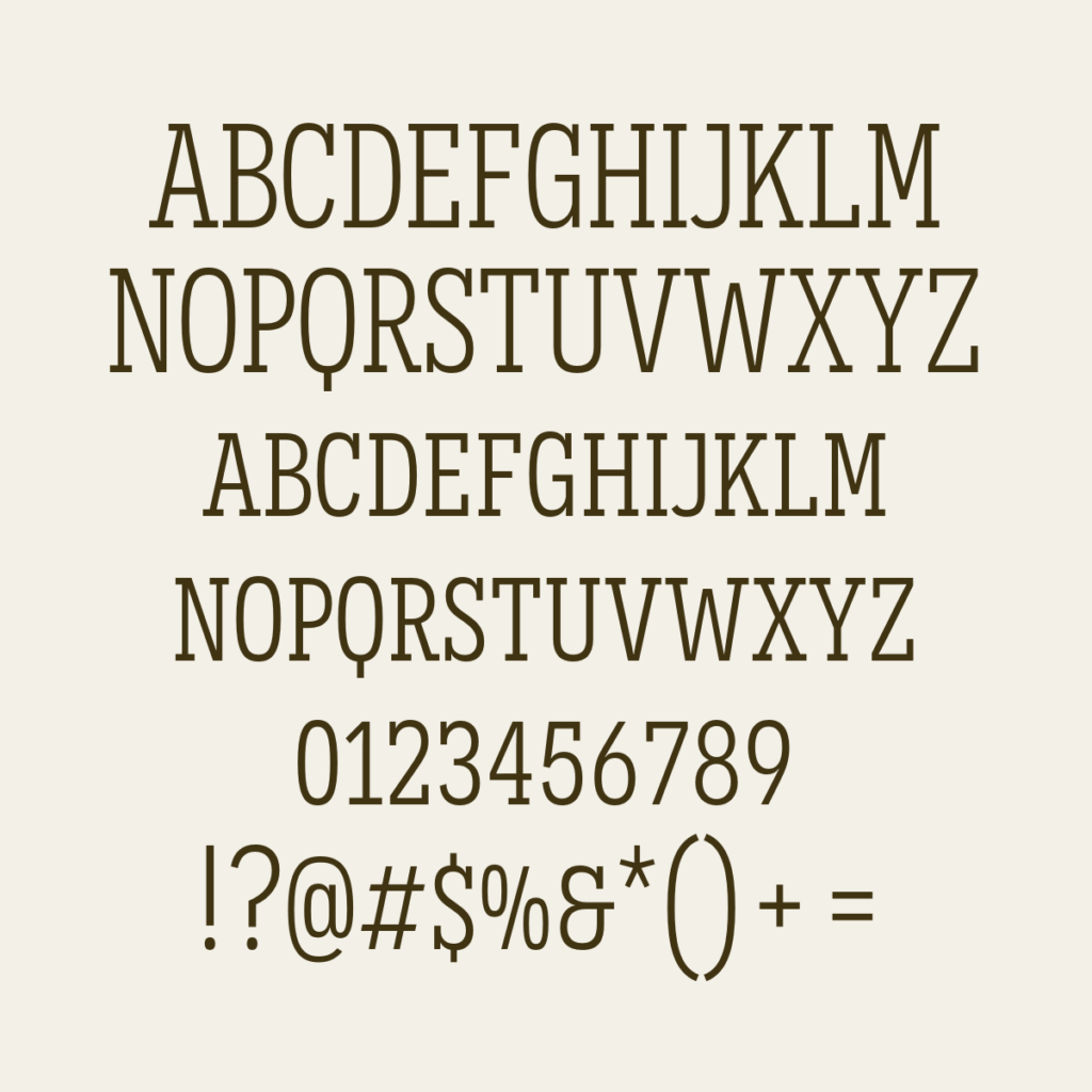 Novecento Slab Condensed Book