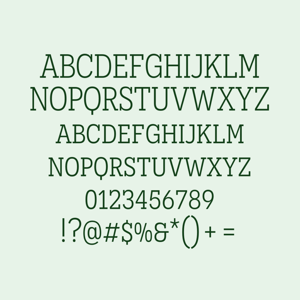 Novecento Slab Narrow Book