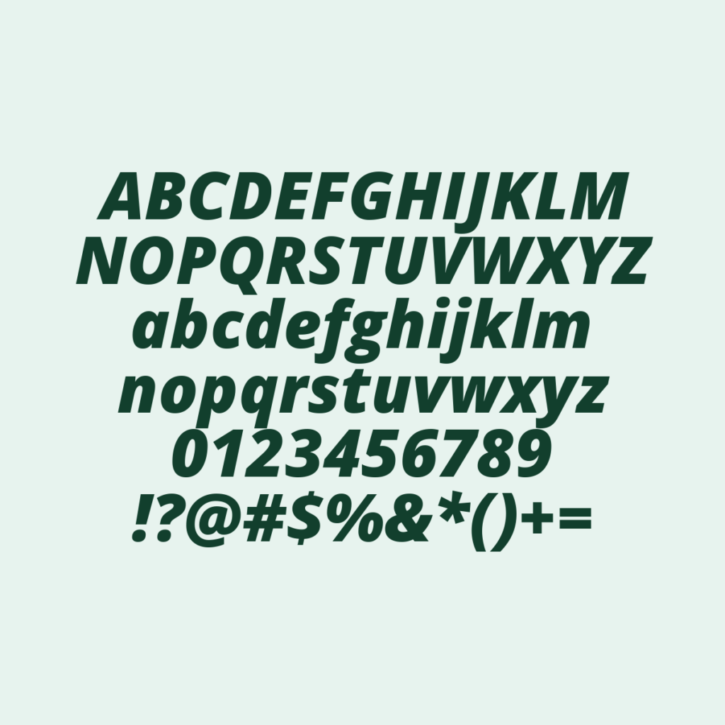 OpenSans ExtraBoldItalic