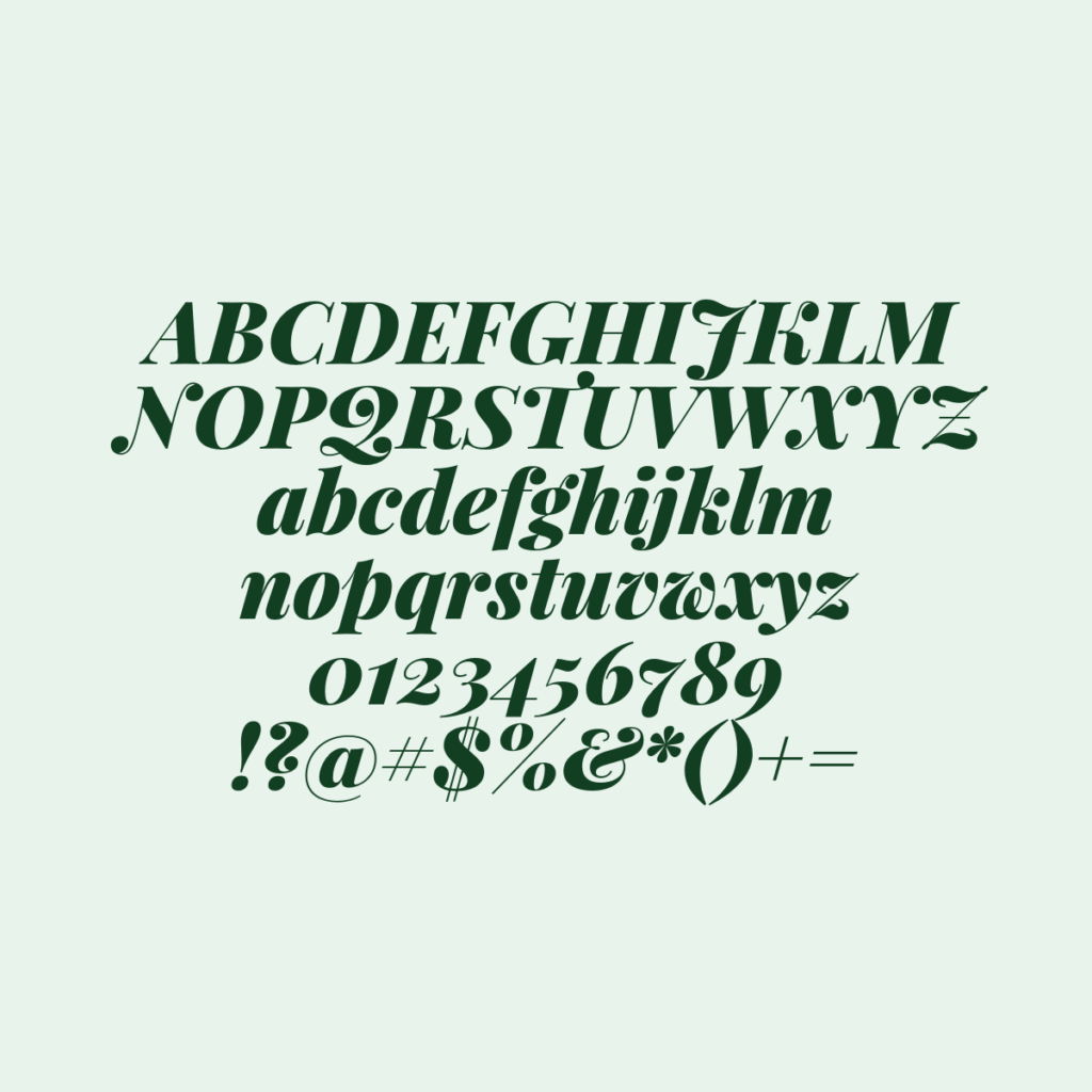 PlayfairDisplay BlackItalic