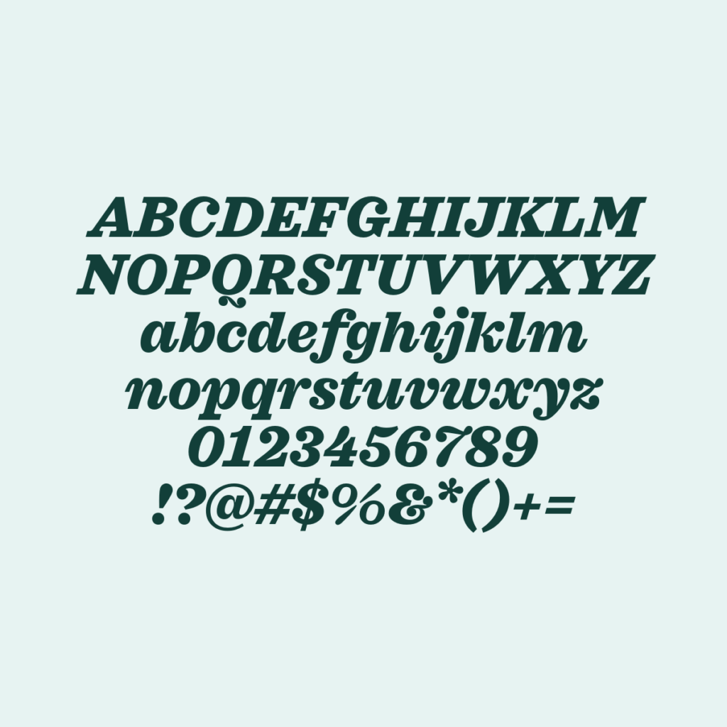 Sagona HeavyItalic