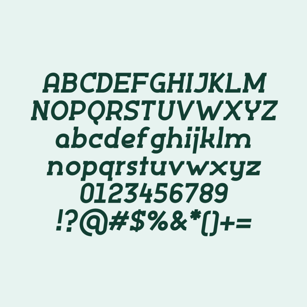 SiloSlab ExtraBoldItalic