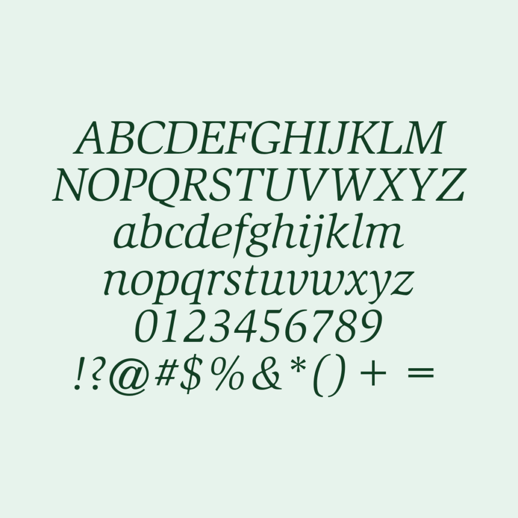 SlimbachStd BookItalic
