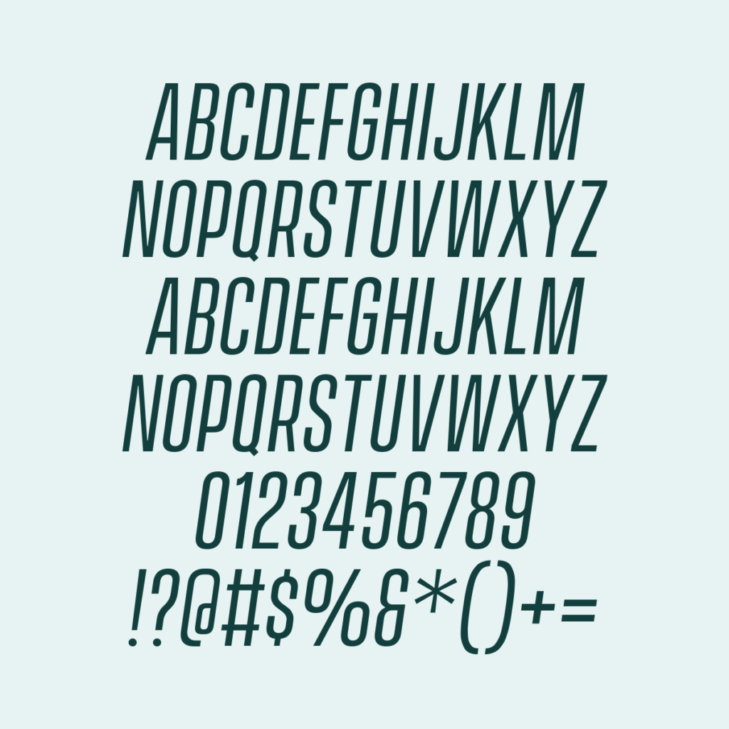 VanguardCFRegularOblique