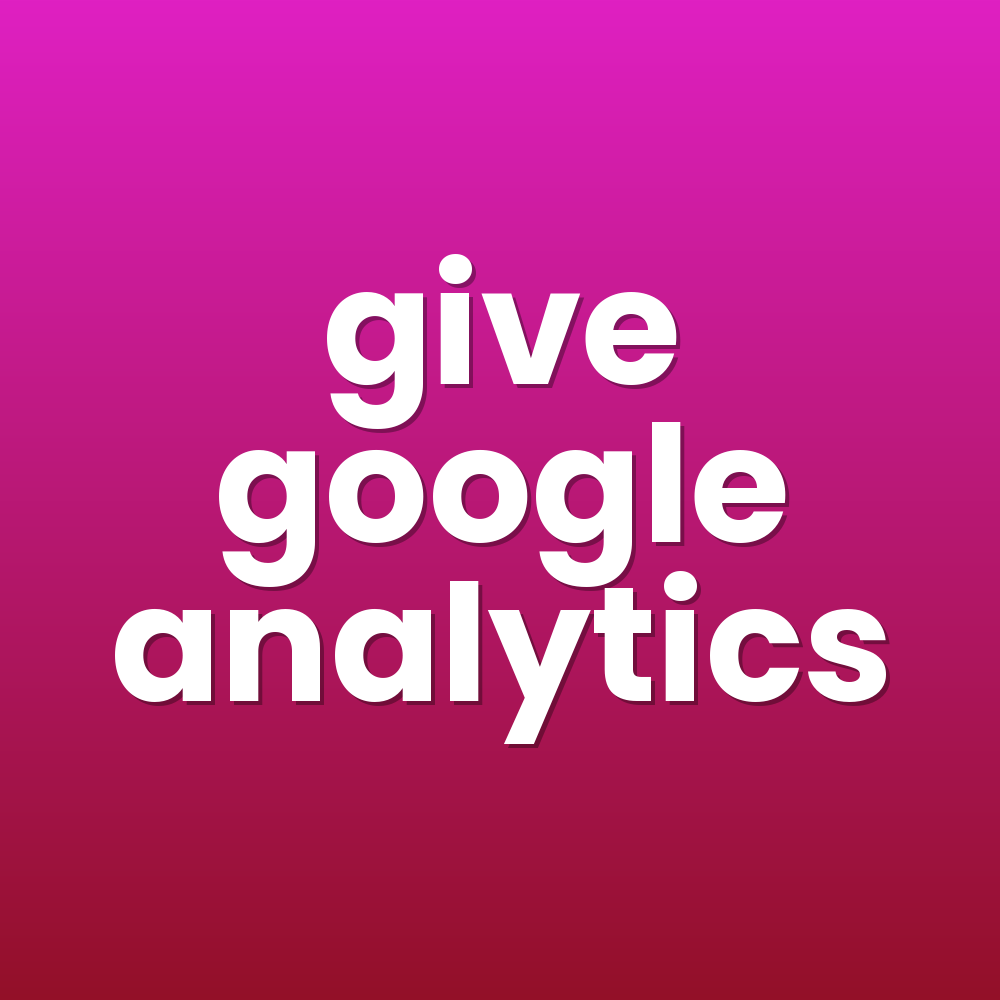 give google analytics