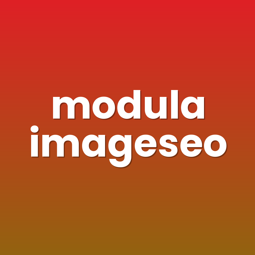 modula imageseo