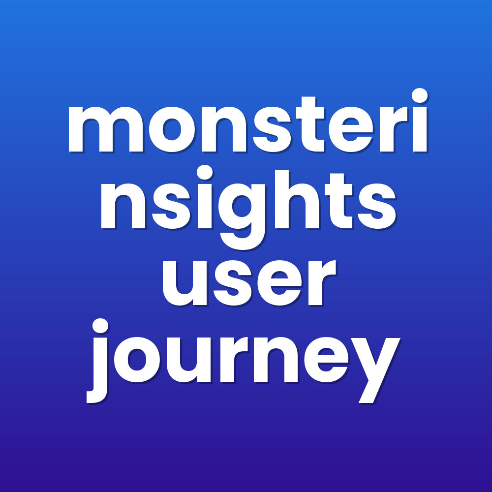 monsterinsights user journey